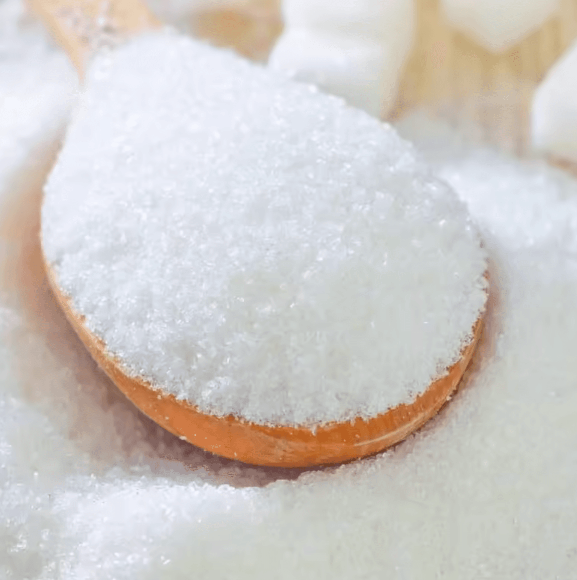 Export packing — 25/50 kg & big bags