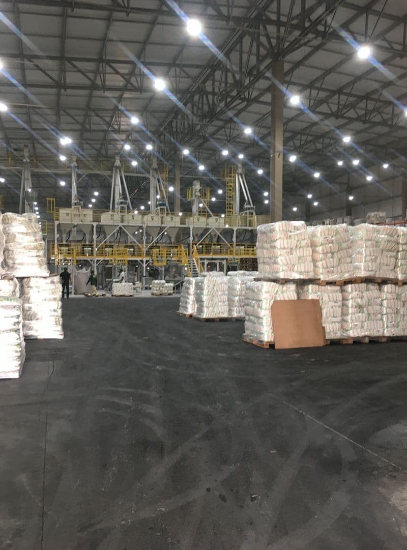 Warehouse staging — palletized, sealed bags