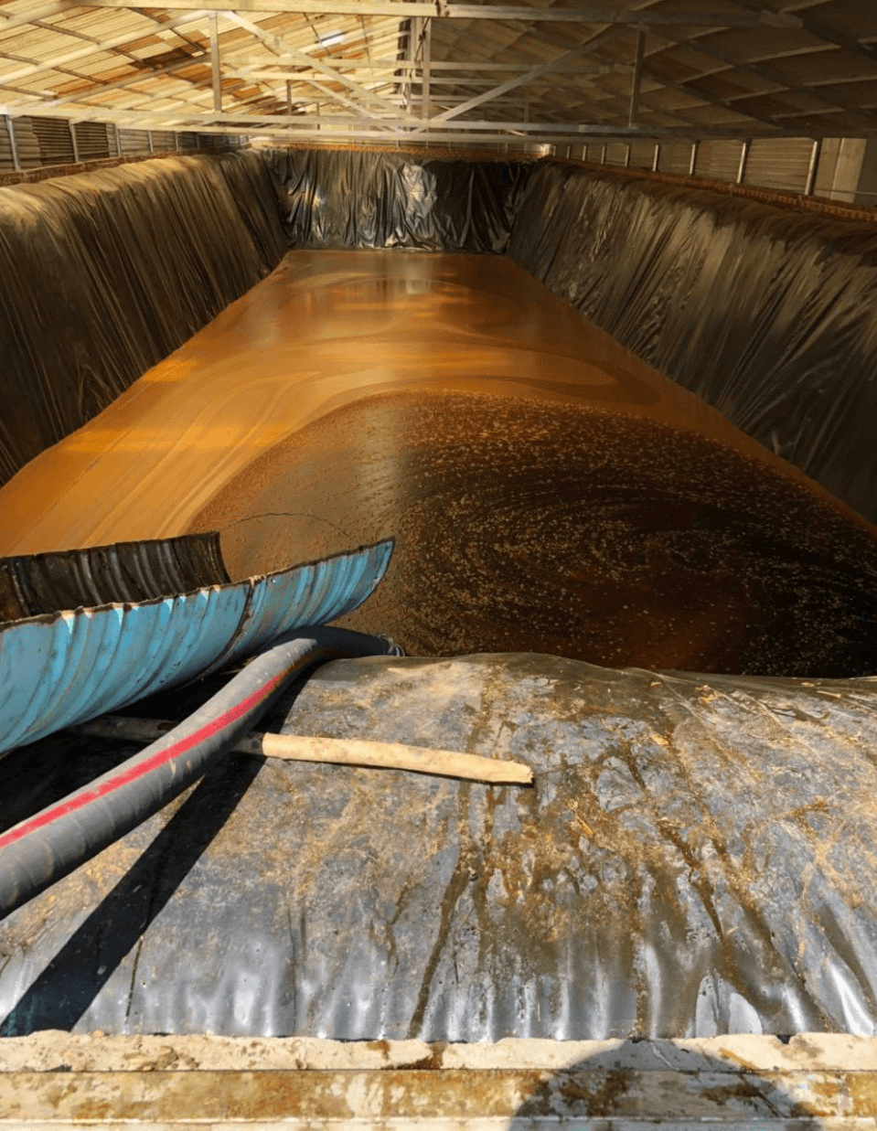 Port loading — SGS inspection at load